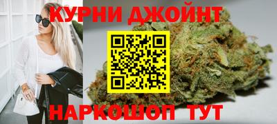 прущие крисы Кингисепп