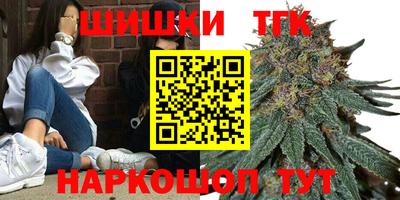 прущие крисы Кингисепп