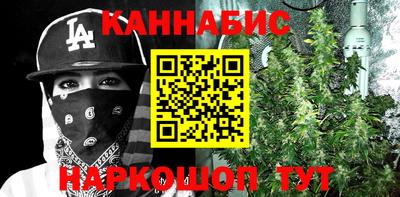 прущие крисы Кингисепп