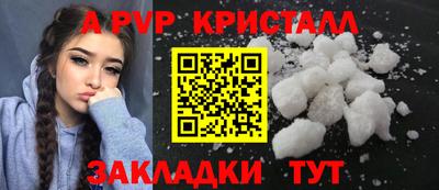 прущие крисы Кингисепп
