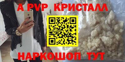 спиды Кинель